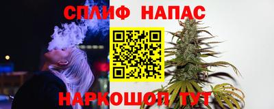 сатива Малгобек