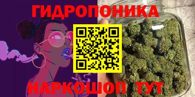шишки Мариинск