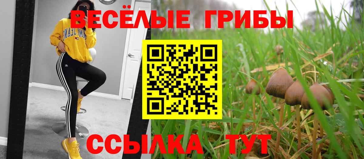 Элиста  Галлюциногенные грибы MAGIC MUSHROOMS  Галлюциногенные грибы мицелий  Вход с VPN 