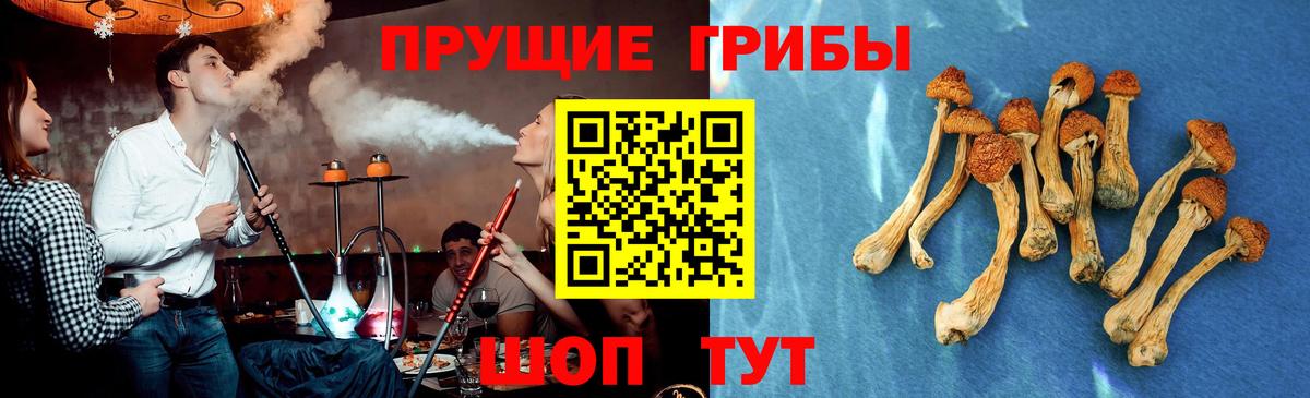 Галлюциногенные грибы GOLDEN TEACHER Элиста